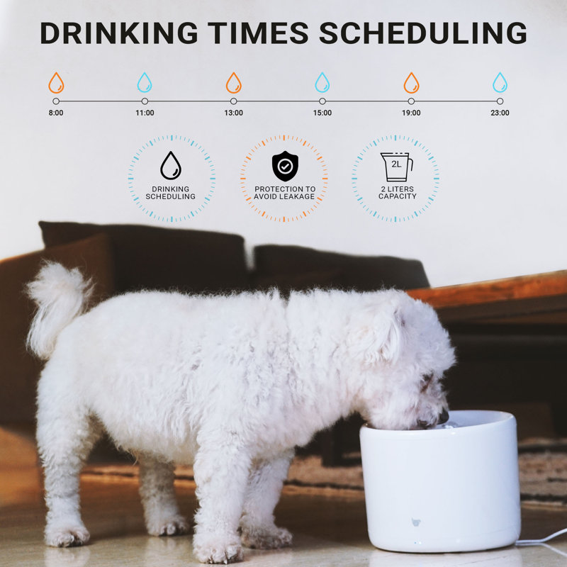 Instachew Purrflow Smart Pet Water Fountain, App Enabled Automatic